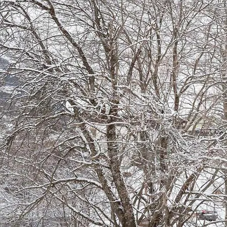 Appartamento Iris 3 Design