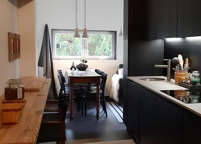 Iris 3 Design Apartment *